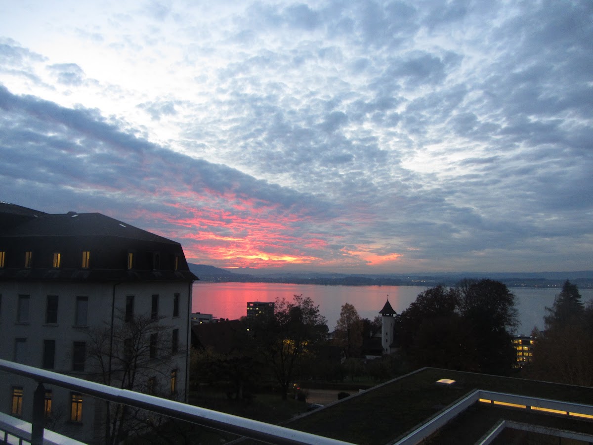 University of Teacher Education Zug photo 8