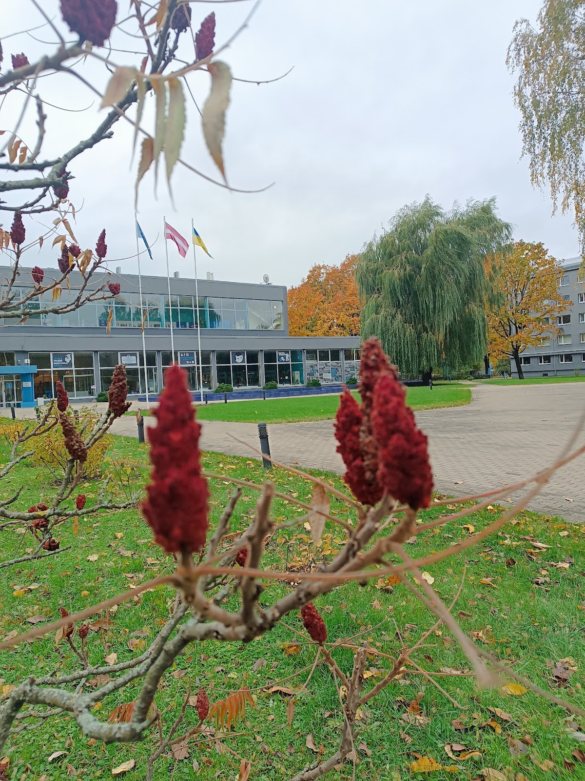 Turiba University photo 9