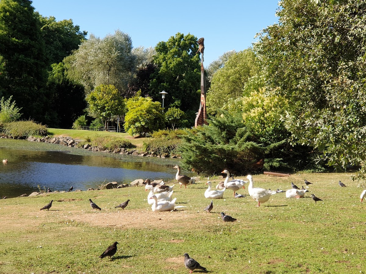 University of Santiago de Compostela photo 8