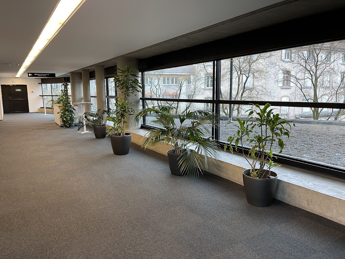 Grenoble École de Management photo 5