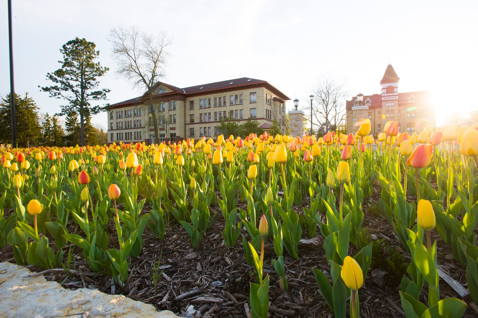 Lakeland University campus