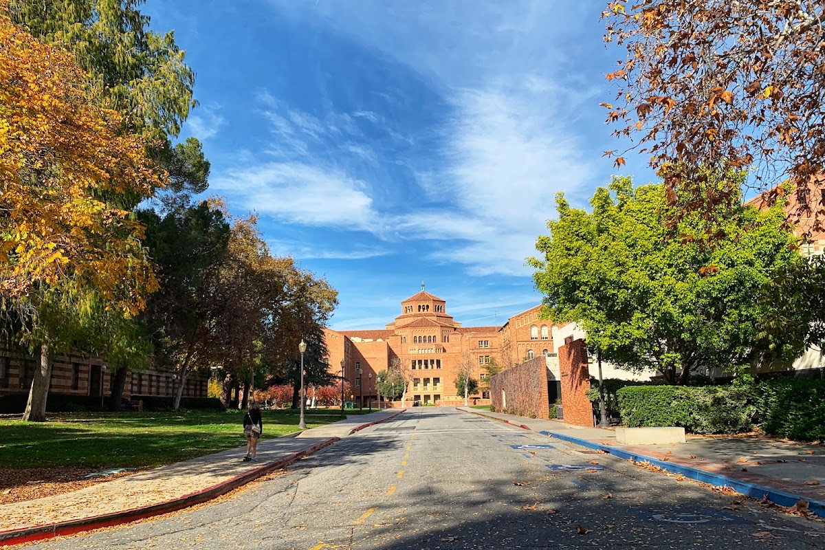University_1387 photo 2