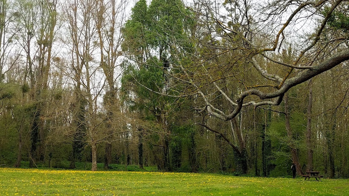 University of Poitiers photo 3