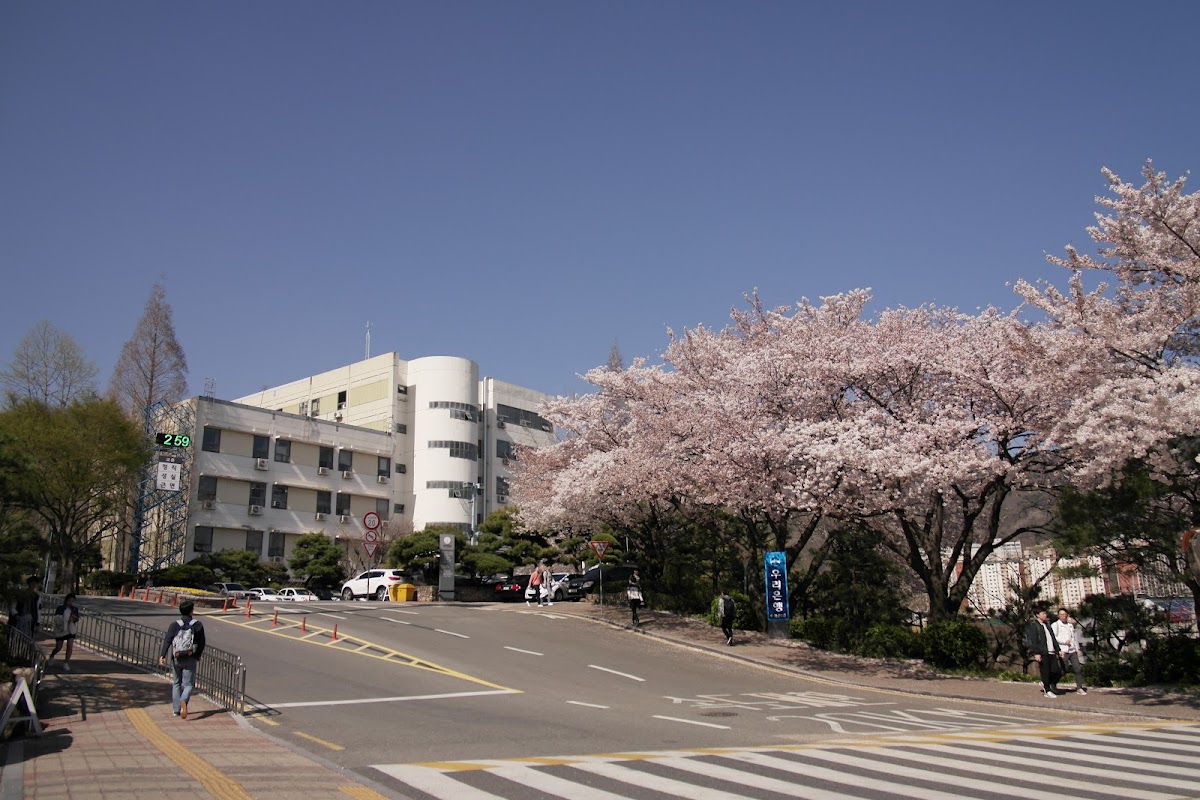 Inje University photo 7