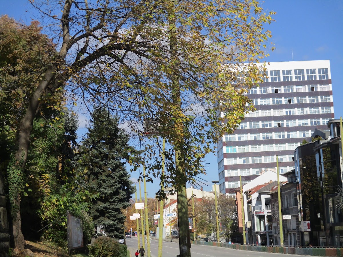 Technical University of Gabrovo photo 3