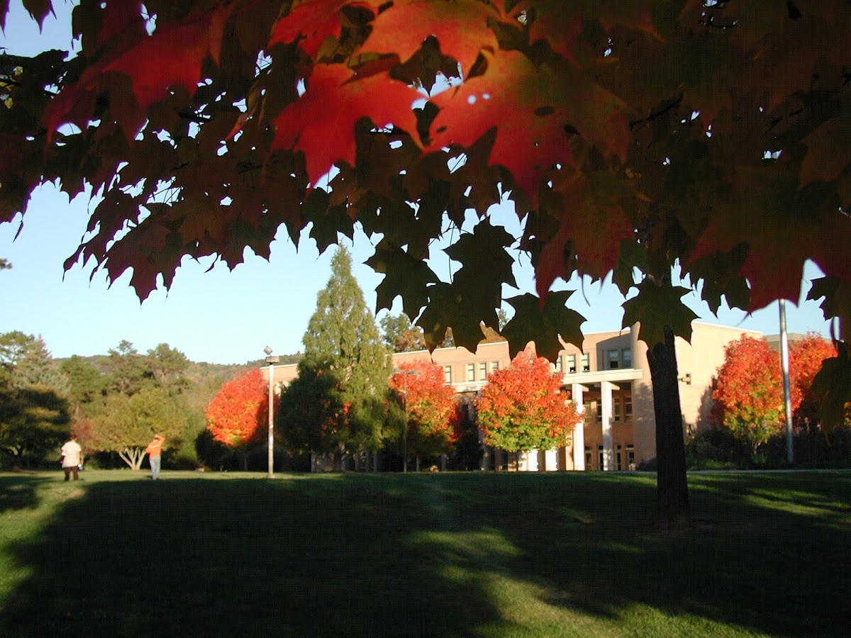 University of North Carolina at Asheville photo 4