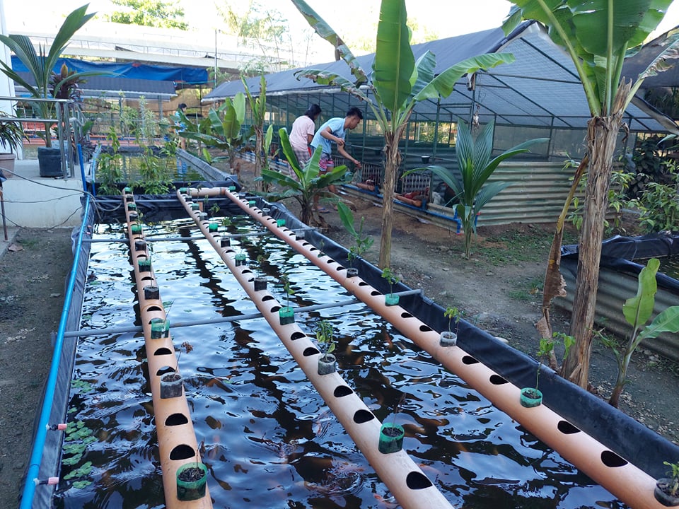 Central Philippine University photo 5