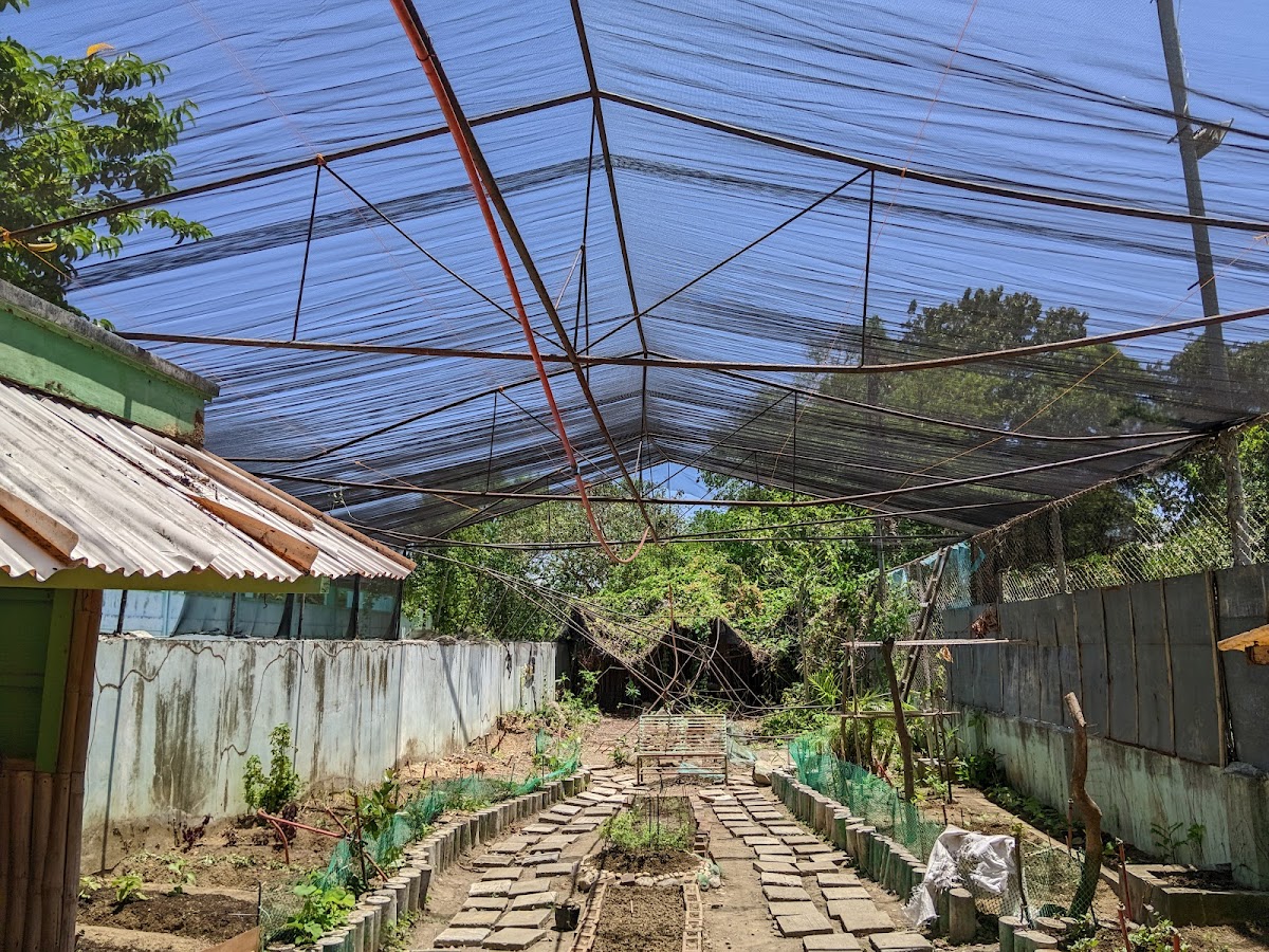 Central Philippine University photo 8