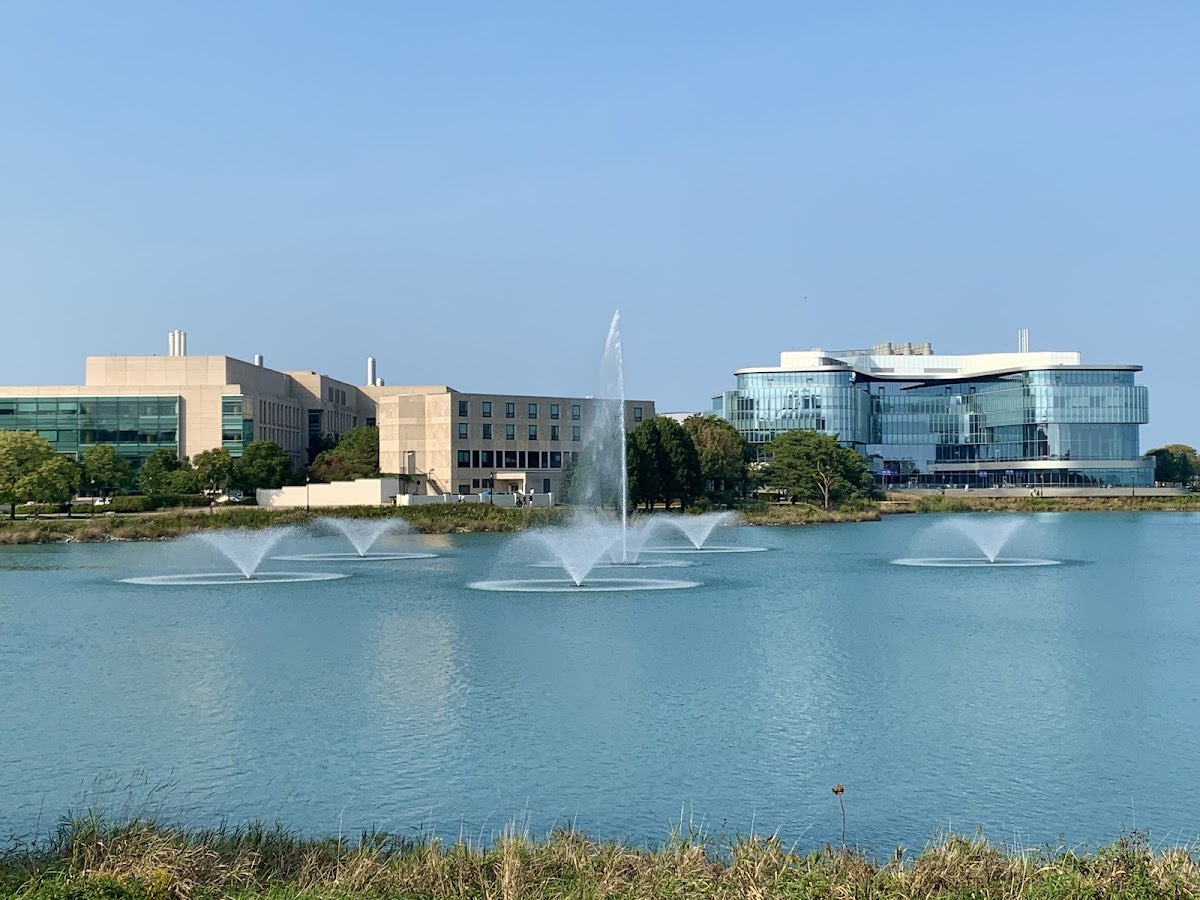 Northwestern University photo 1