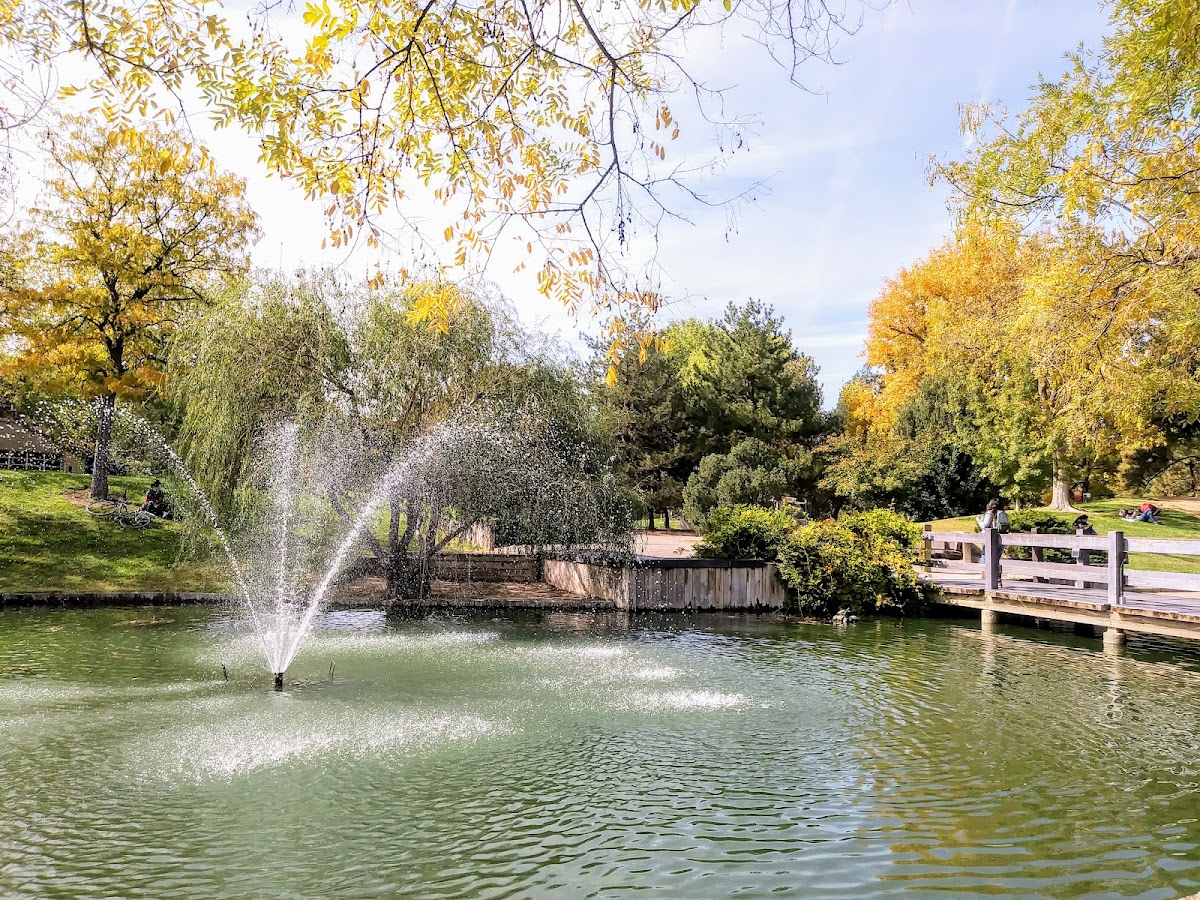 University of New Mexico photo 2