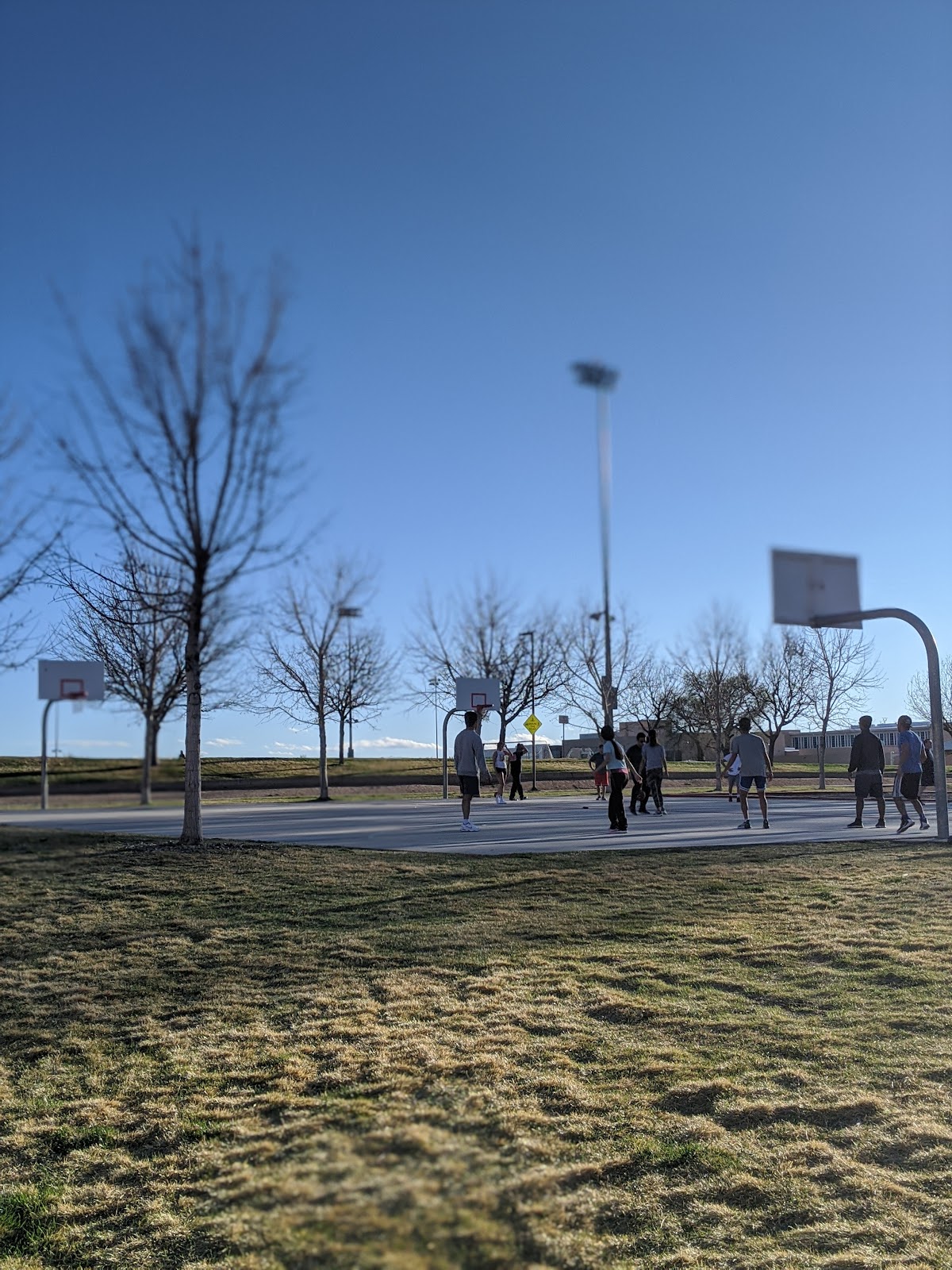 University of New Mexico photo 7