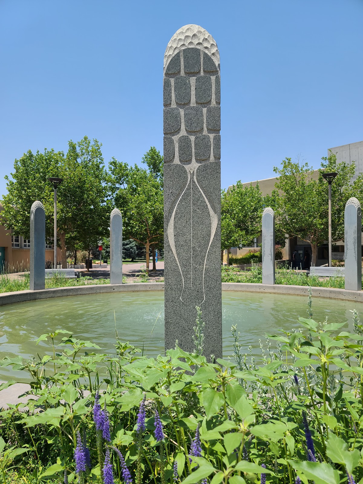 University of New Mexico photo 8