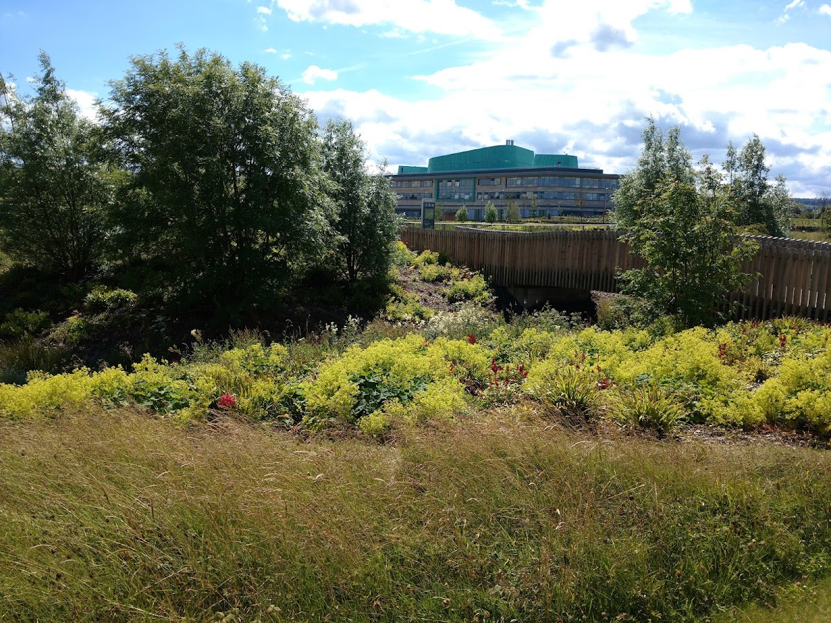 University of Highlands and Islands photo 8