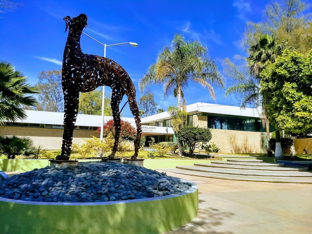 Technological Institute of Tijuana photo 5