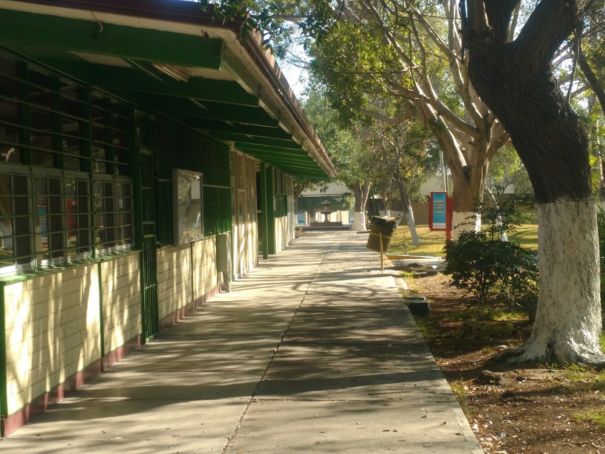 Technological Institute of Tijuana photo 8