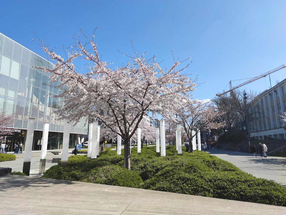 University of British Columbia photo 6