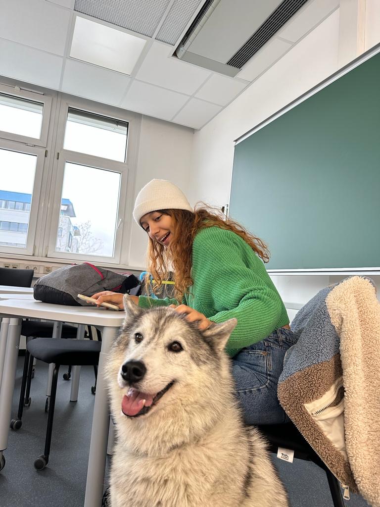 Carinthia University of Applied Sciences photo 8