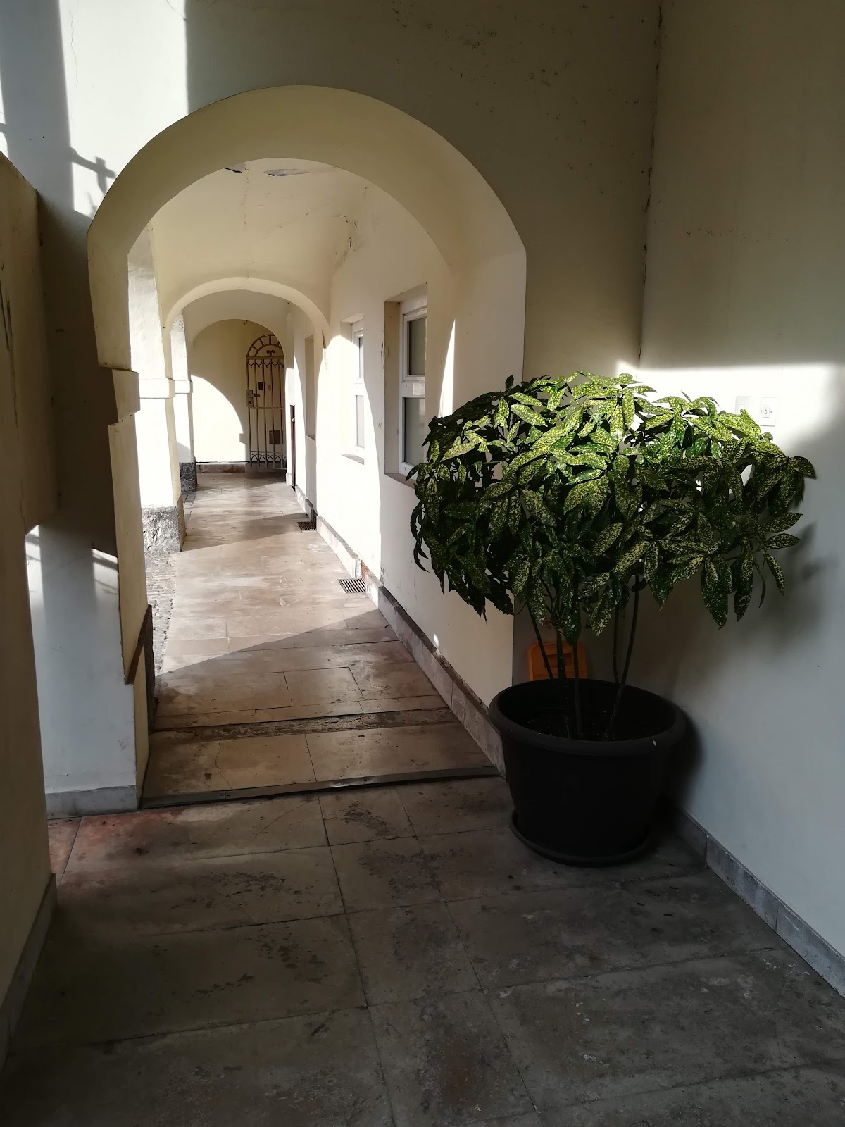 Faculty of Theology, University of Ljubljana photo 3