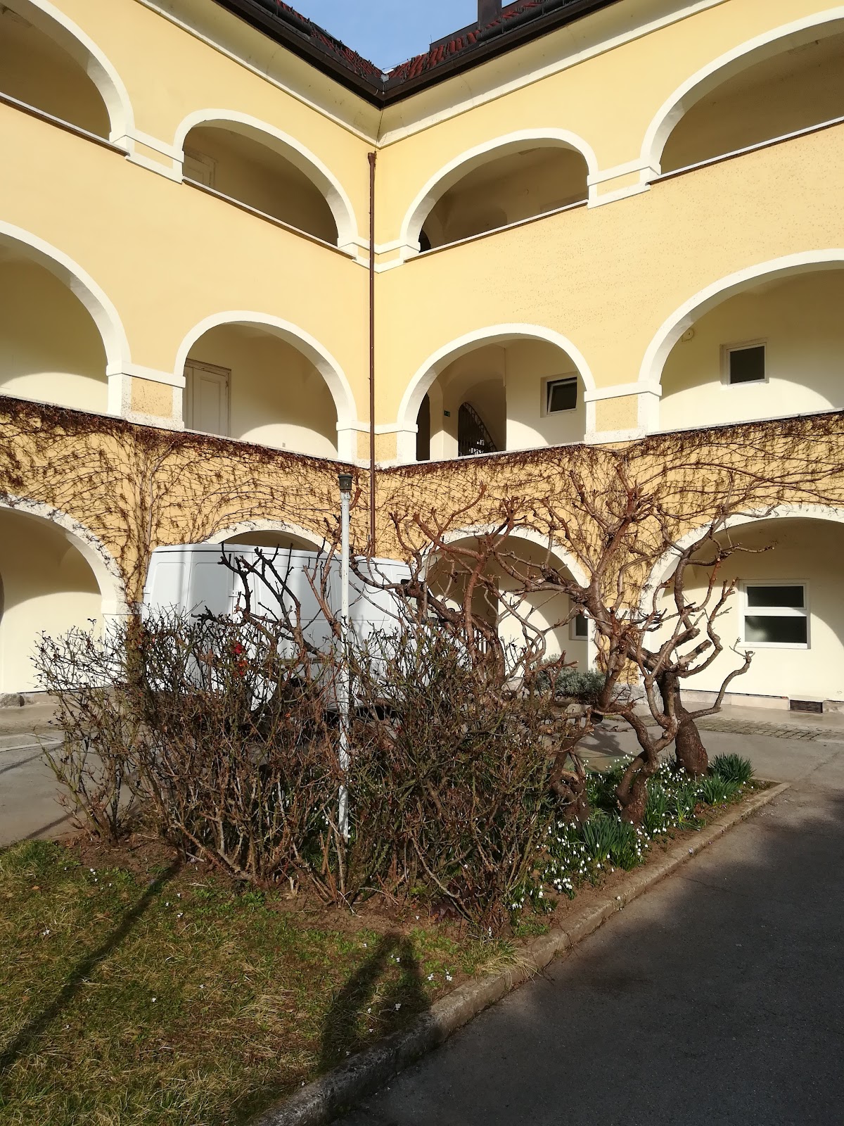 Faculty of Theology, University of Ljubljana photo 5