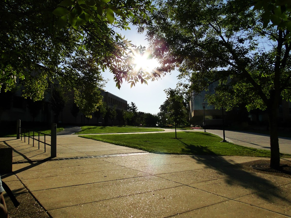 Missouri S&T photo 7