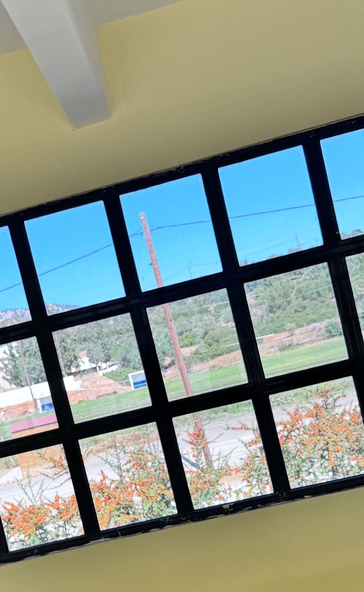 Hellenic Mediterranean University - Lassithi photo 5