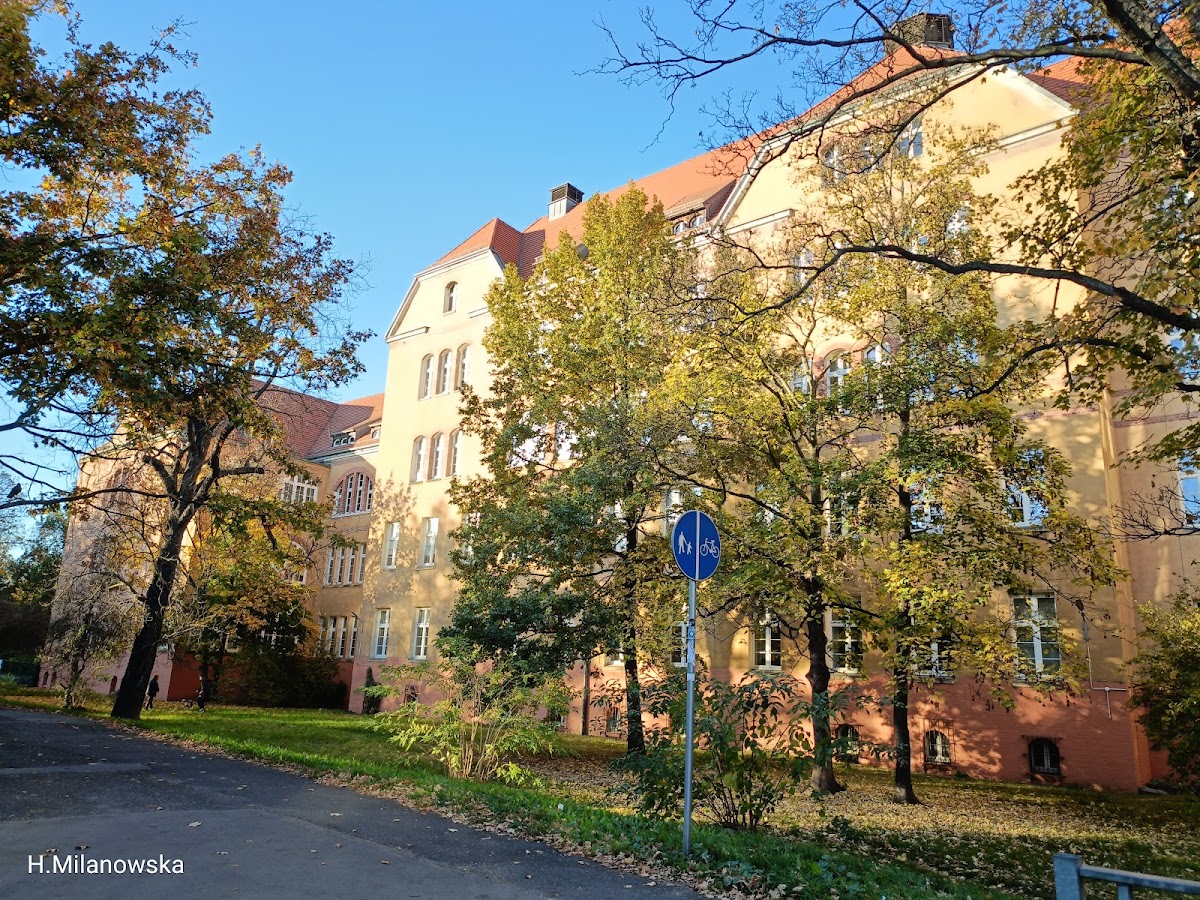 University of Economics in Wrocław photo 3