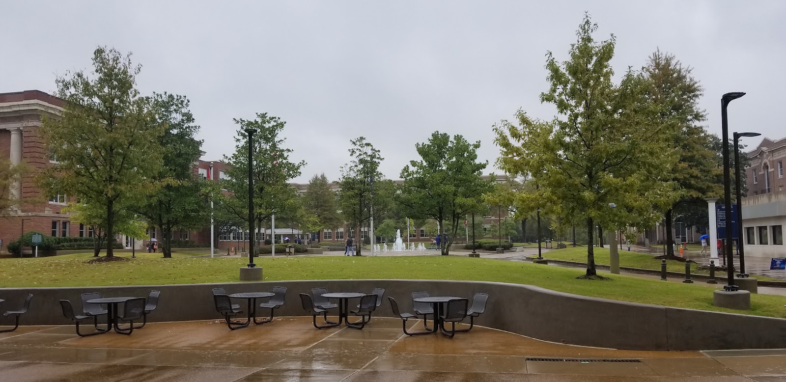 Study in Memphis, United States