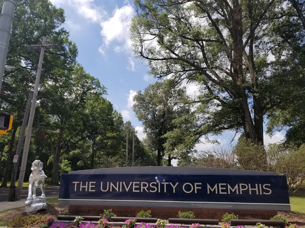 Memphis University photo 6