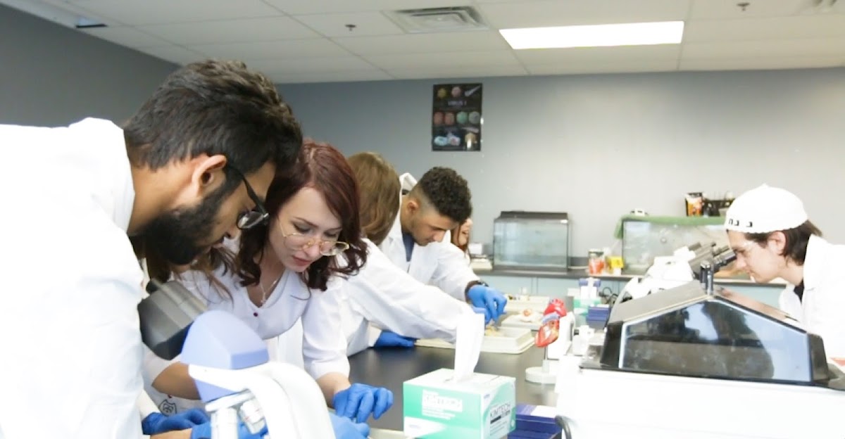 Collège Trans-Québec photo 1