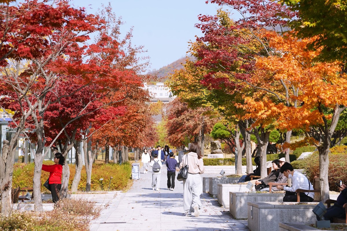 Yonsei University photo 2