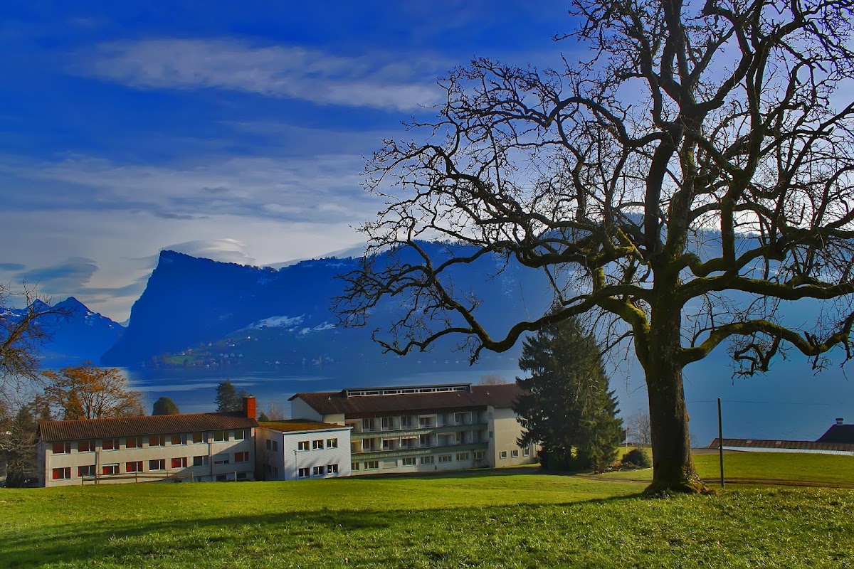 International Management Institute (IMI) Switzerland photo 4