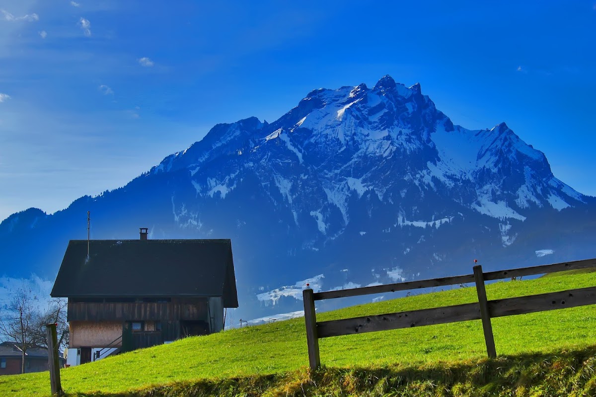 International Management Institute (IMI) Switzerland photo 5