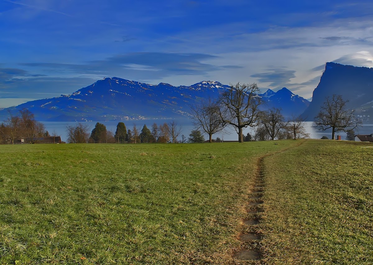 International Management Institute (IMI) Switzerland photo 8