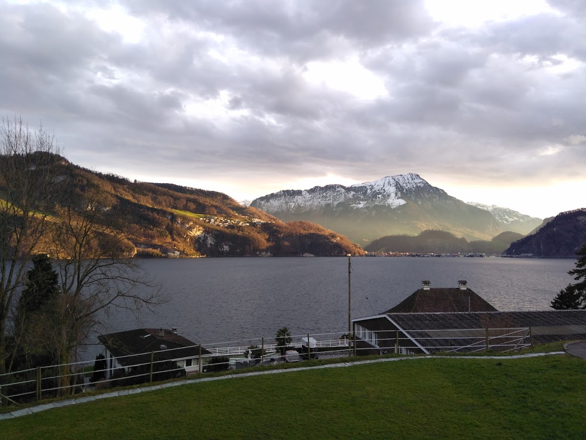 International Management Institute (IMI) Switzerland photo 9