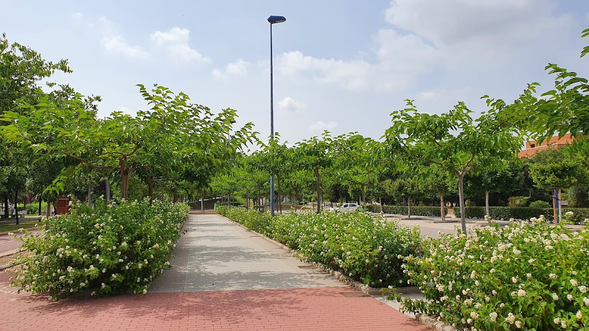 University of Jaume I photo 1