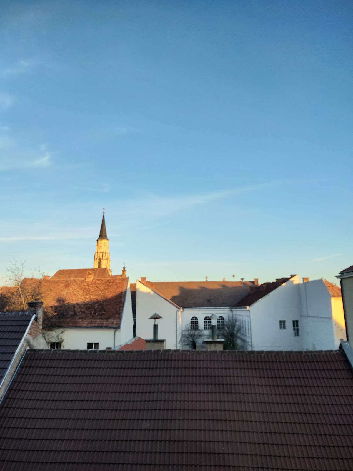 Babeș-Bolyai University photo 7