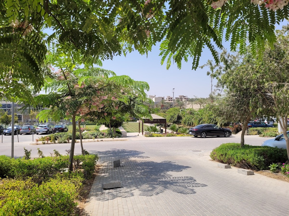 Newgiza University photo 4