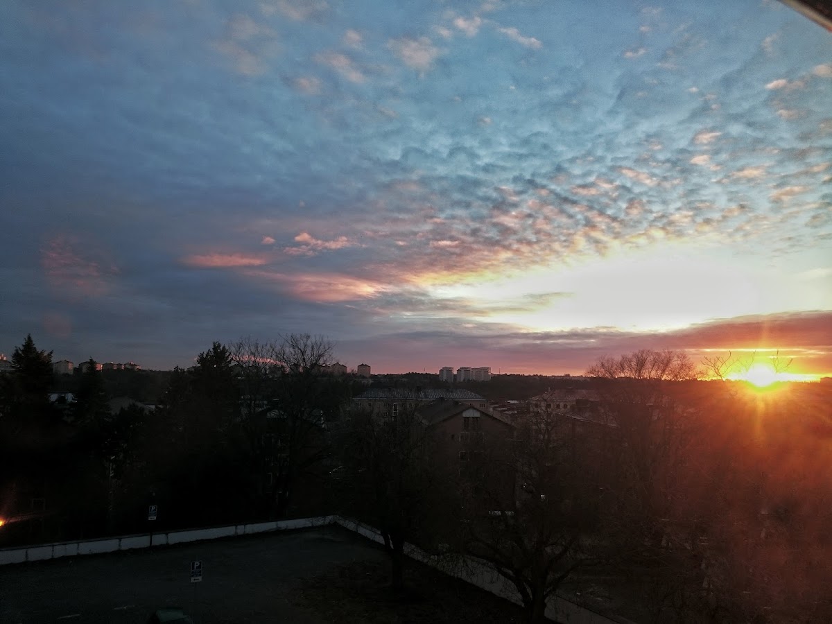 Internationella Engelska Gymnasiet Södermalm photo 8