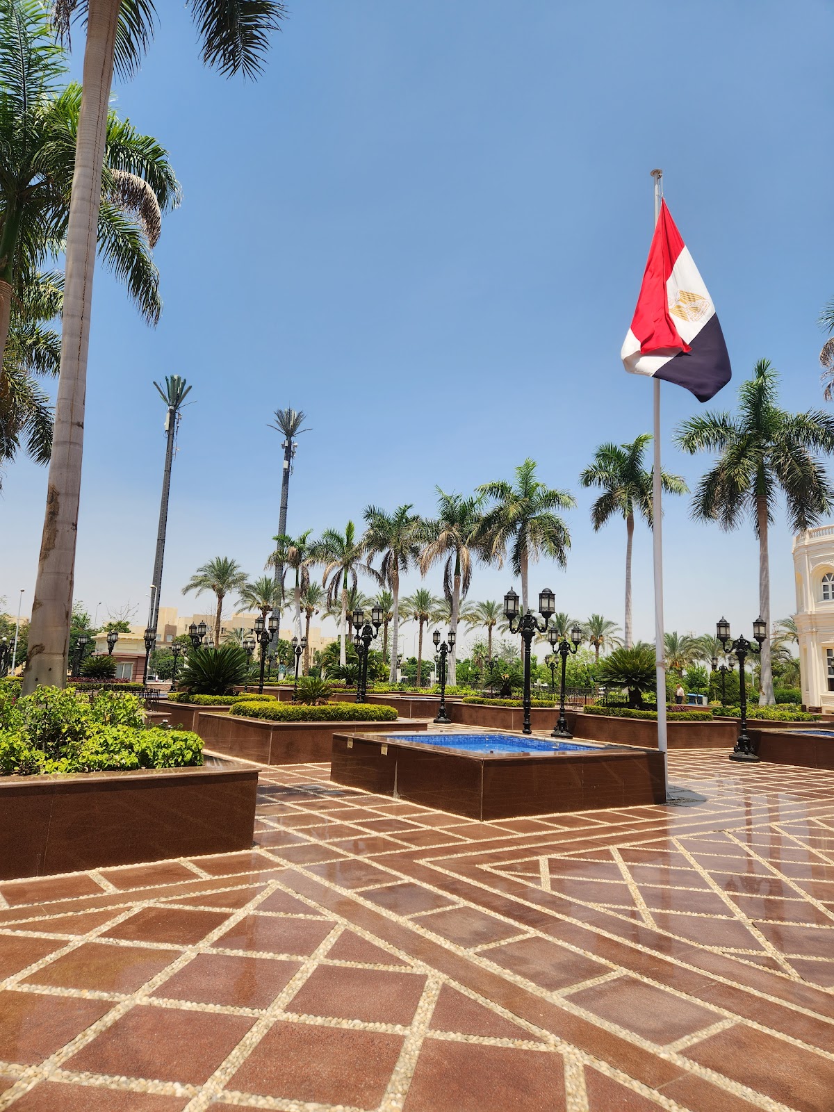 British University in Egypt photo 8
