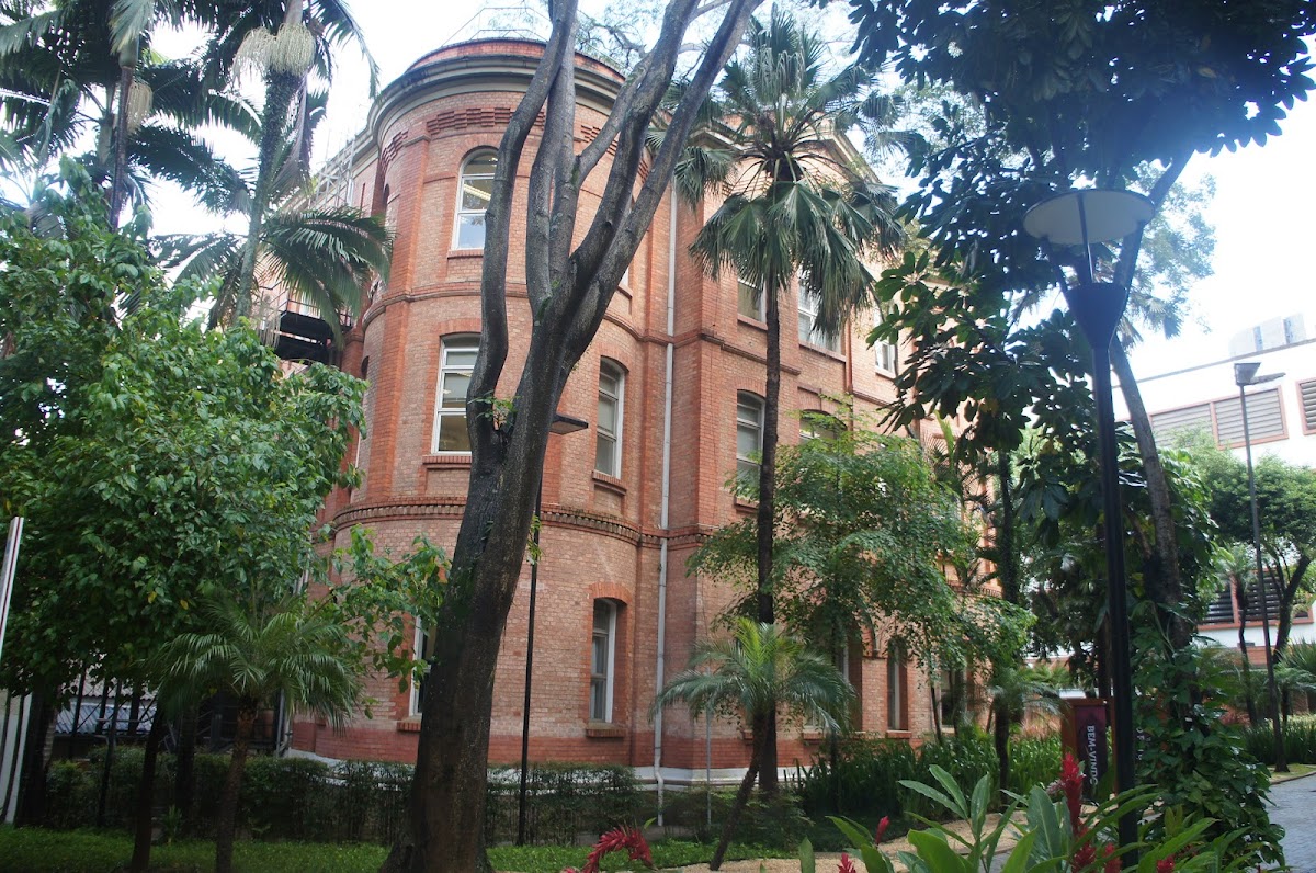 Mackenzie Presbyterian University photo 1