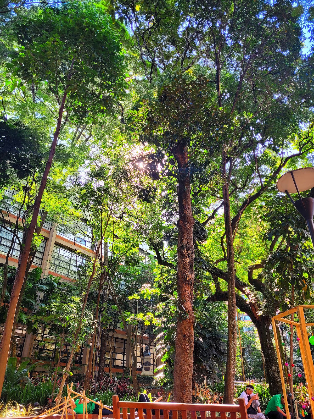 Mackenzie Presbyterian University photo 5