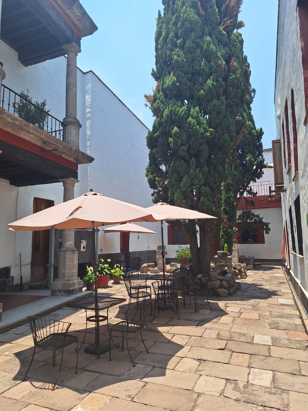 Universidad del Claustro de Sor Juana photo 8