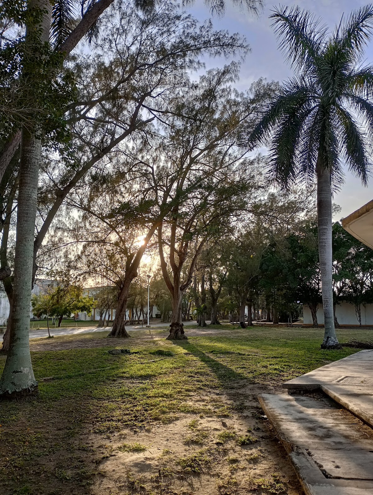 Technological Institute of Ciudad Madero photo 7