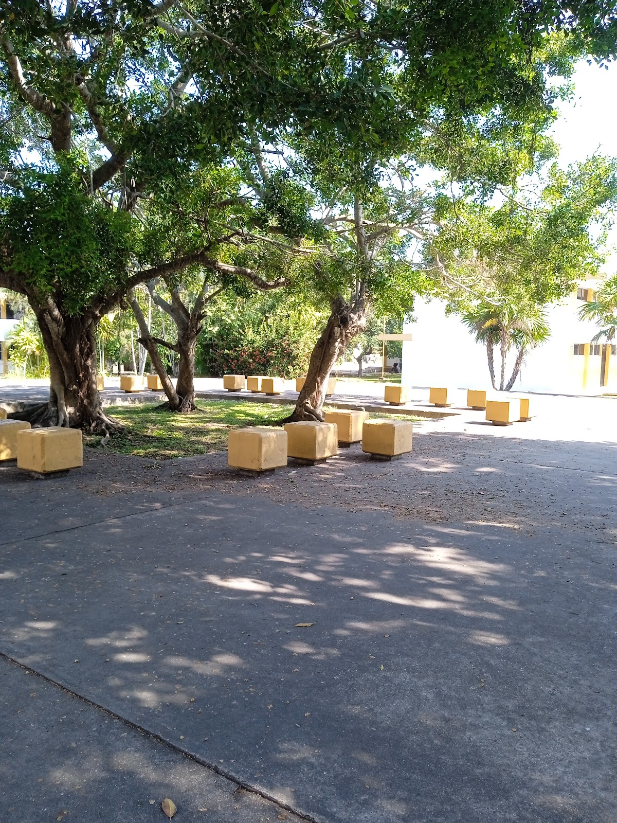 Technological Institute of Ciudad Madero photo 8