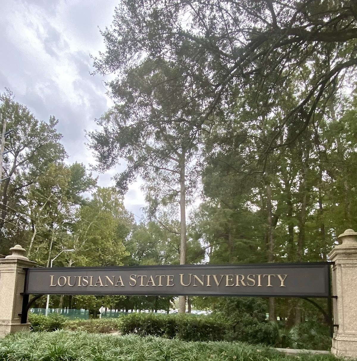 Louisiana State University photo 7