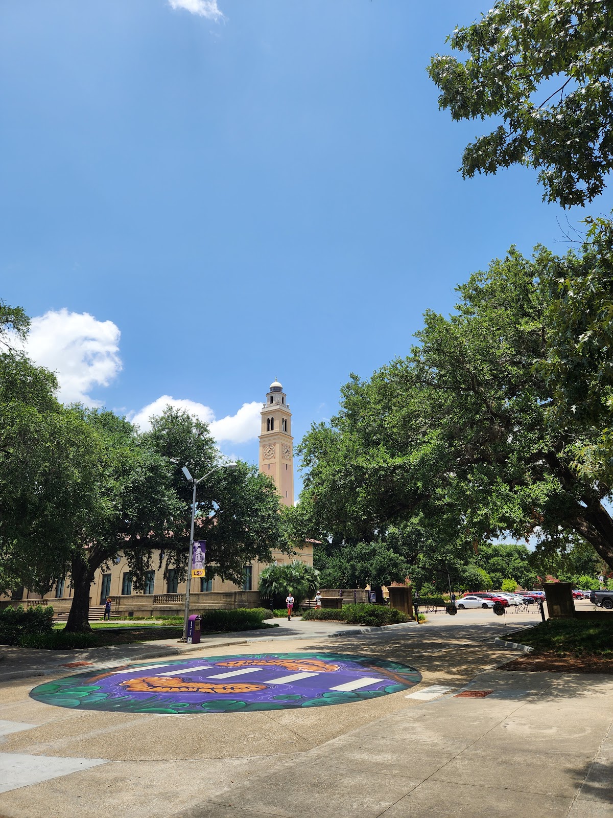 Louisiana State University photo 8