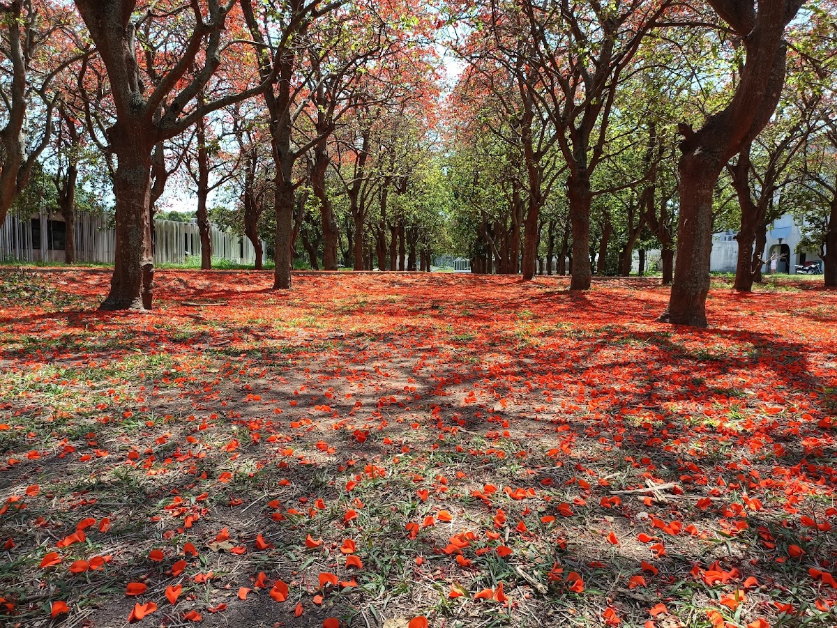 State University of North Fluminense photo 6