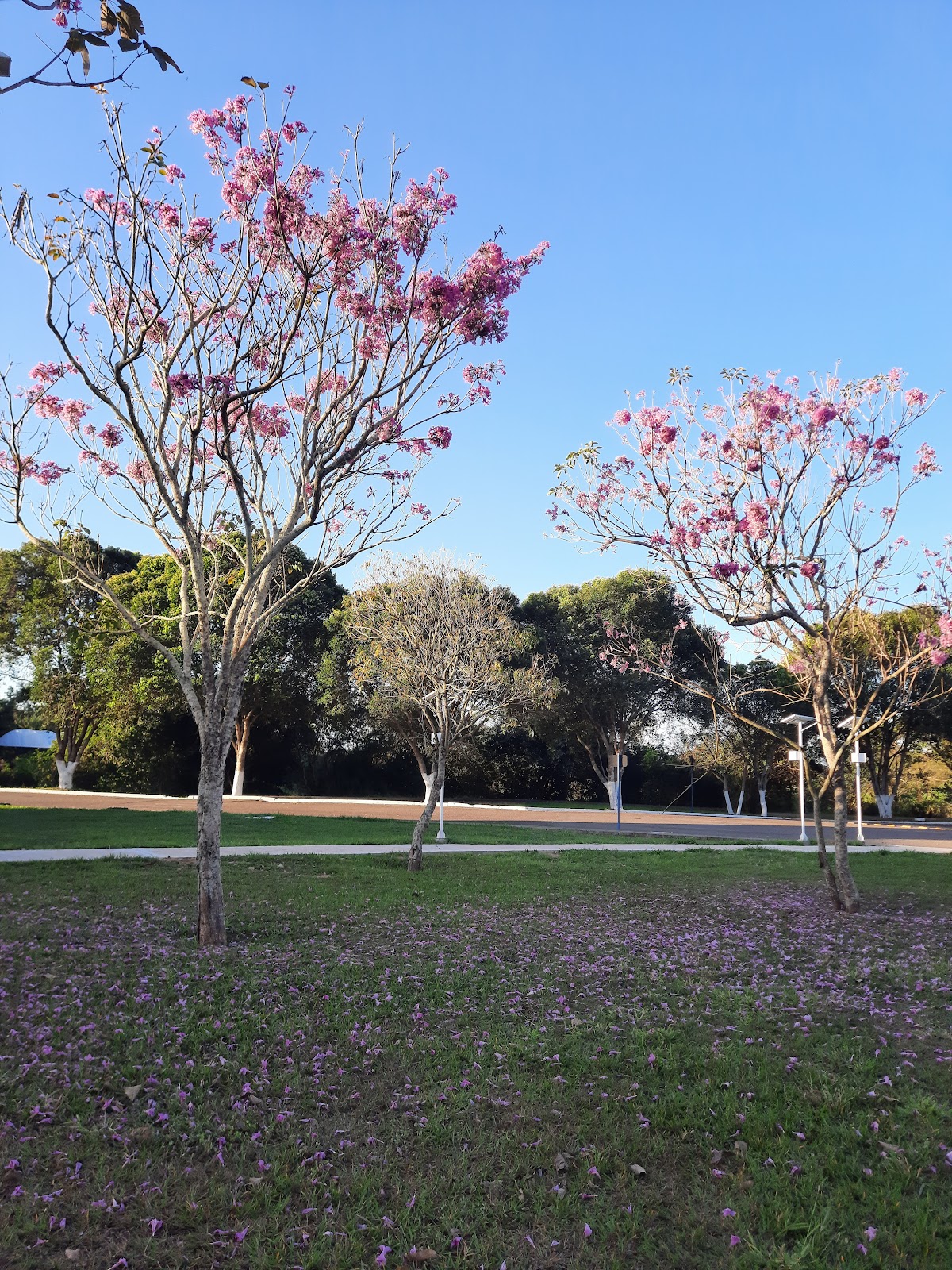 State University of North Fluminense photo 7