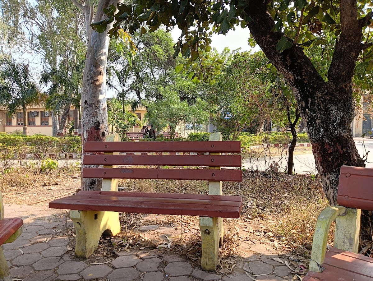 Barkatullah University photo 9