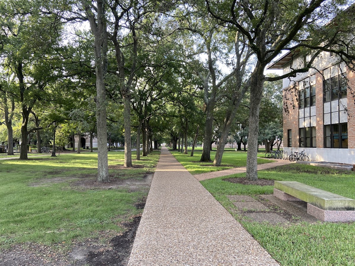 Rice University photo 7